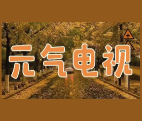 元气电视
